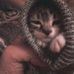 Anna Minu Mietta Filardi - Facebook