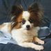 Anna Filby - Facebook