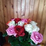 Anna Filipowicz - Facebook