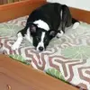 annafilosa34 - @annafilosa34 - TikTok