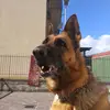 DamaConsita - @annafilosa565 - TikTok