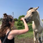 Anna May Findlay - @annamayfindlay - Instagram