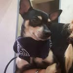 Anna Finelli - @finelli6840 - Instagram