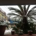 Anna Finelli - @finelli367 - Instagram