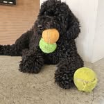 anna finelli - @finelli753 - Instagram