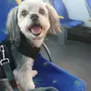 anna finkelshtein - @anna.finkelshtein - TikTok