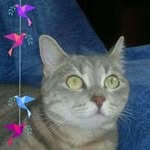 Anna Fiorenza Acri - @annafiorenzaacri - Instagram
