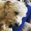 Anna_Firthy22 - @funkytown_45 - TikTok