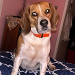 Anna Fiske - @fiske7075 - Instagram