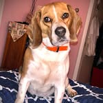 Anna Fiske - @fiske378 - Instagram
