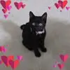 annafiske7 - @anna.fiske7 - TikTok