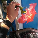 Anna Fita Moza - @delapans2808 - Instagram