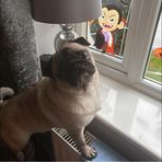 Hannah Rachel Fitchett - Facebook