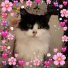Anna Fitzgibbon318 - @annafitzgibbon318 - TikTok