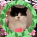 Anna Fitzgibbon - Facebook