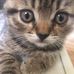 Anna Flach - Facebook