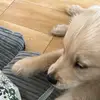 Anna Flanagan - @anna.flanagan1 - TikTok