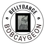 Anna-Lisa Flatley - @bellydance_bobcaygeon - Instagram