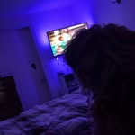 Anna flatt - @an_naflatt - Instagram