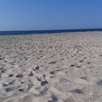 Anna Jamroz-Fleischer - @jamrozfleischer - Instagram