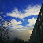 Anna Rebecca Fleischer - @fleischerphotos - Instagram