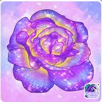Annabella Fleeman - Facebook