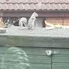 Anna Flint - @anna.flint4 - TikTok
