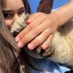 Anna Flinn - @littlekiwilambs - Instagram