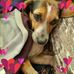 Anna Flint - Facebook