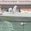 Anna Flint - @anna.flint4 - TikTok