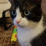 Anna Flis - @flis3853 - Instagram