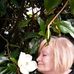 Anna Floch - Facebook