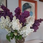 Anna Czarnecka-Florczyk - @czarneckaflorczyk - Instagram