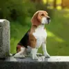 Anna FLOREK - @anna.florek8 - TikTok