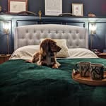 Anna Florence Interiors - @annaflorenceinteriors - Instagram