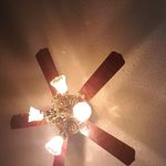 Anna Flournoy - @babcat.sherman - Instagram