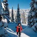Anna Flury - @anna.flurry.14 - Instagram