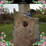 Anna Flury - @amf_bowl - Instagram