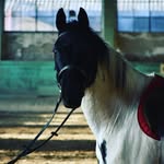 @anna._.lena._.fodor - Instagram
