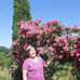 Anna Fodor - Facebook