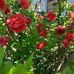 Anna Fodorova - Facebook
