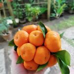 Nurra - @annafofanova.food - Instagram