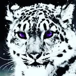 Lucky - @anna.foit - Instagram
