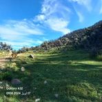 Ana Folan - Facebook