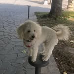 Alfonso E Anna Folino - @bascus_folino_ - Instagram
