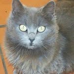 annafolinogallo - @annafolino2005 - Instagram