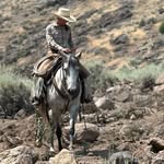 Anna Folkerts - @cowponies_aef - Instagram