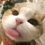 Anna Veloz - Facebook