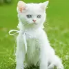 Anna Fonseca - @anna.fonseca348 - TikTok