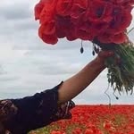 Anna Fontana - @anna.fontana.16121 - Instagram